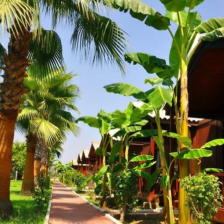 Dream Park Bungalow Titreyengol Kültér fotó