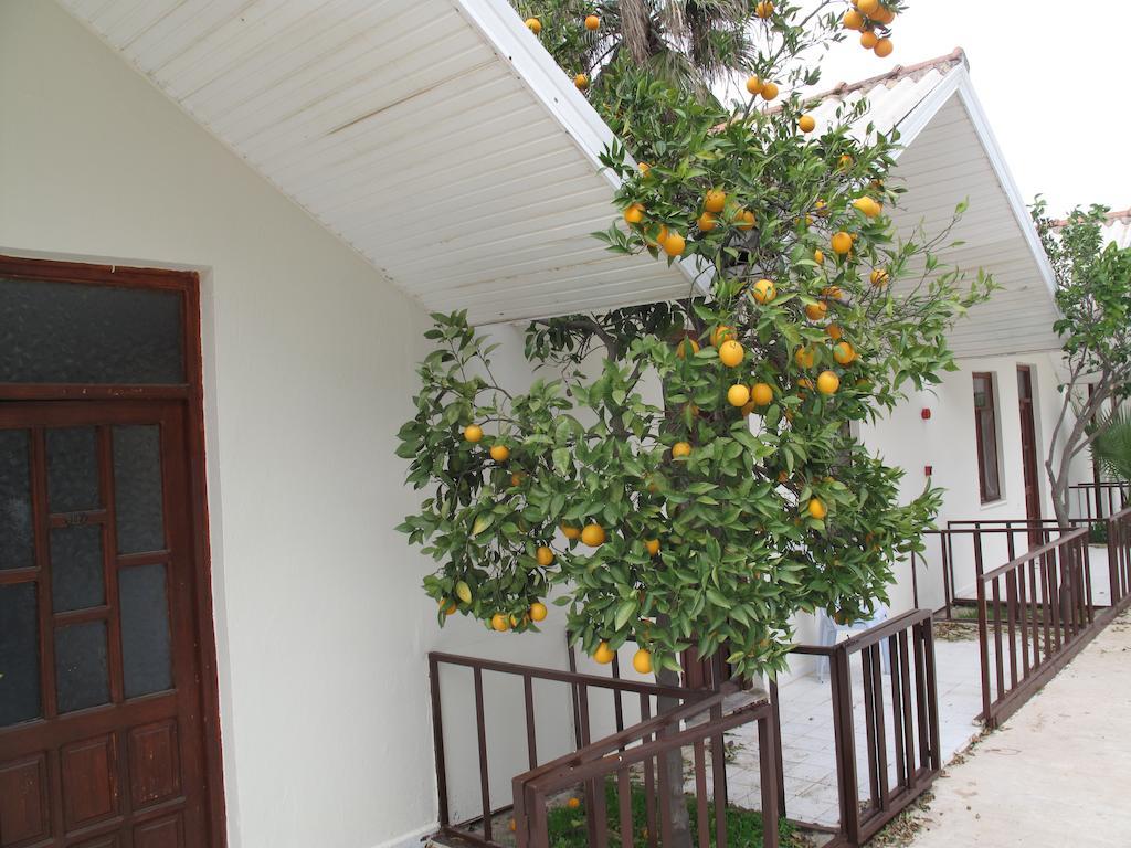 Dream Park Bungalow Titreyengol Kültér fotó
