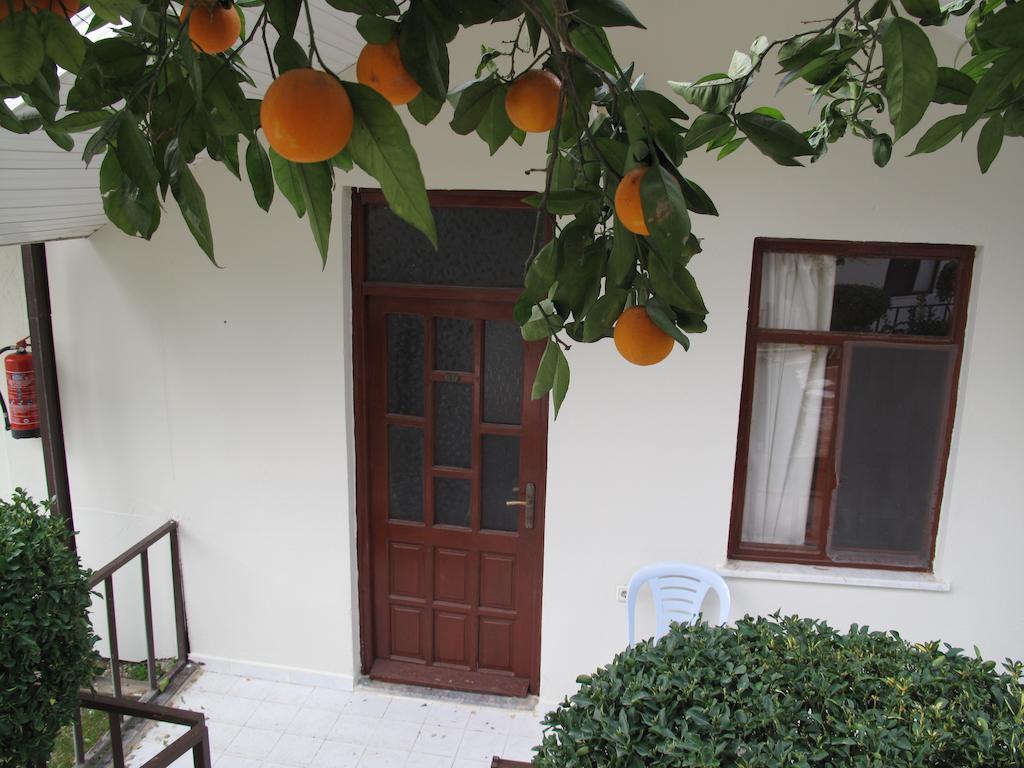 Dream Park Bungalow Titreyengol Kültér fotó