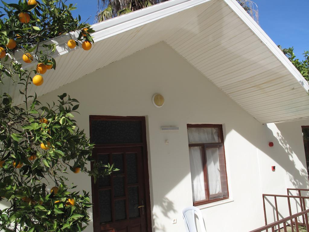 Dream Park Bungalow Titreyengol Kültér fotó