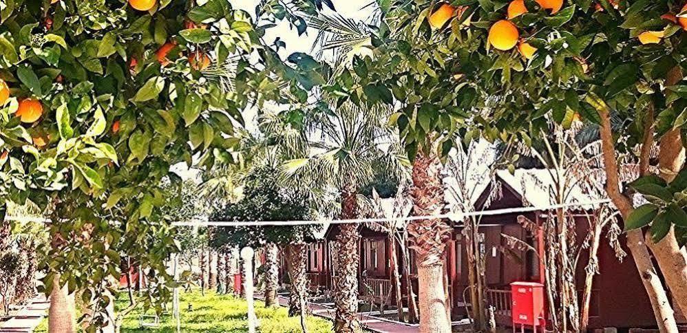 Dream Park Bungalow Titreyengol Kültér fotó