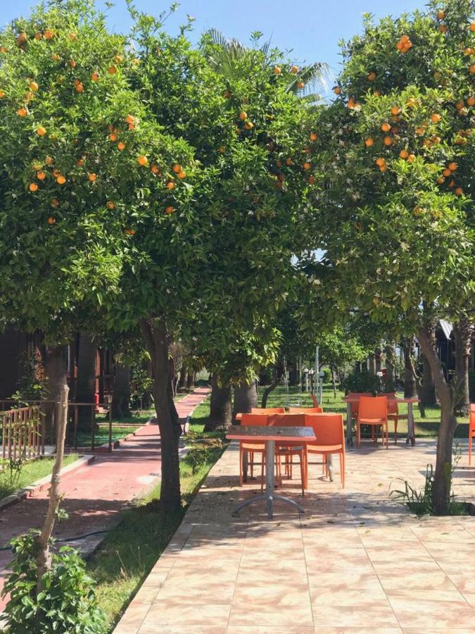 Dream Park Bungalow Titreyengol Kültér fotó
