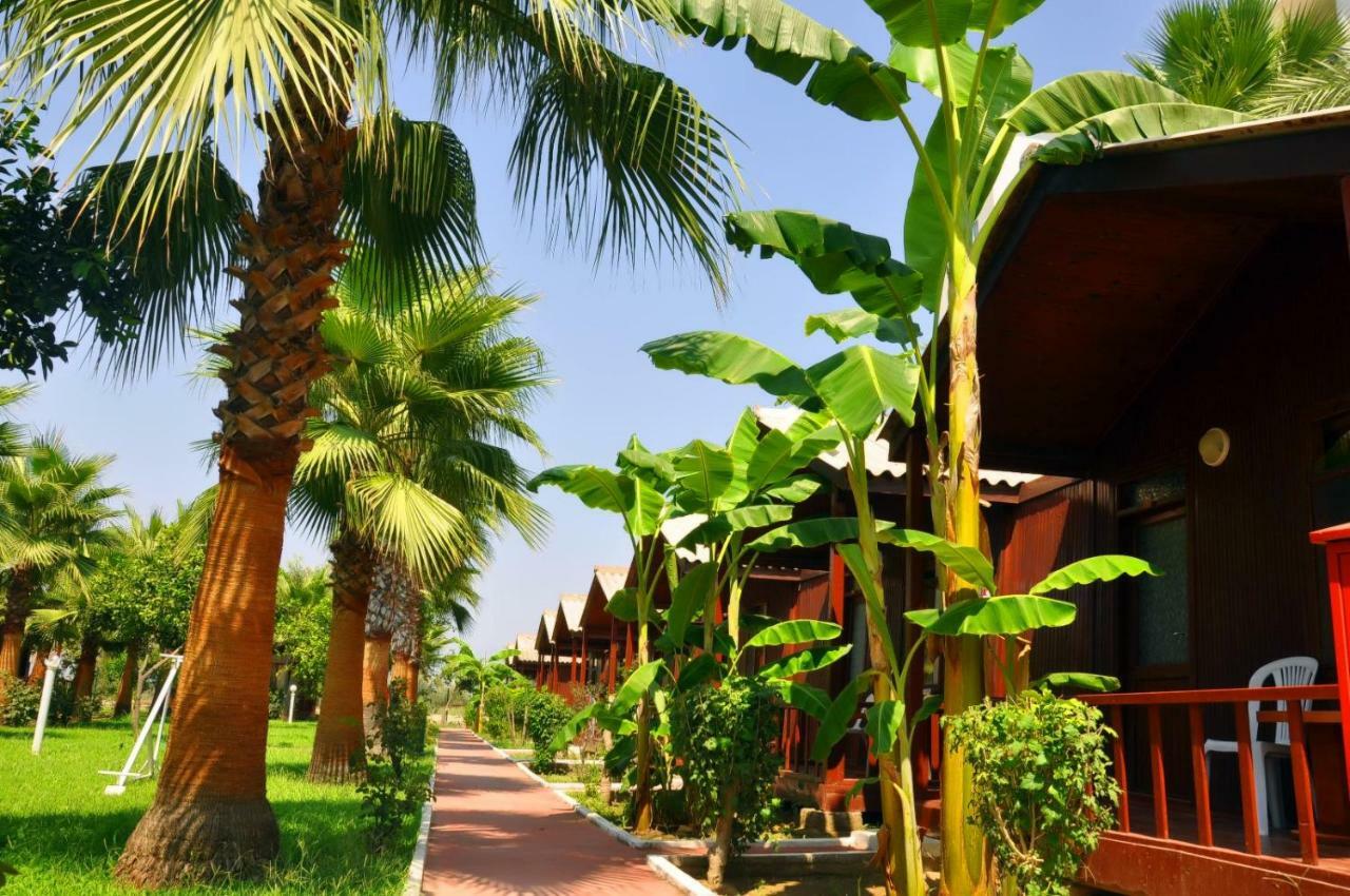 Dream Park Bungalow Titreyengol Kültér fotó